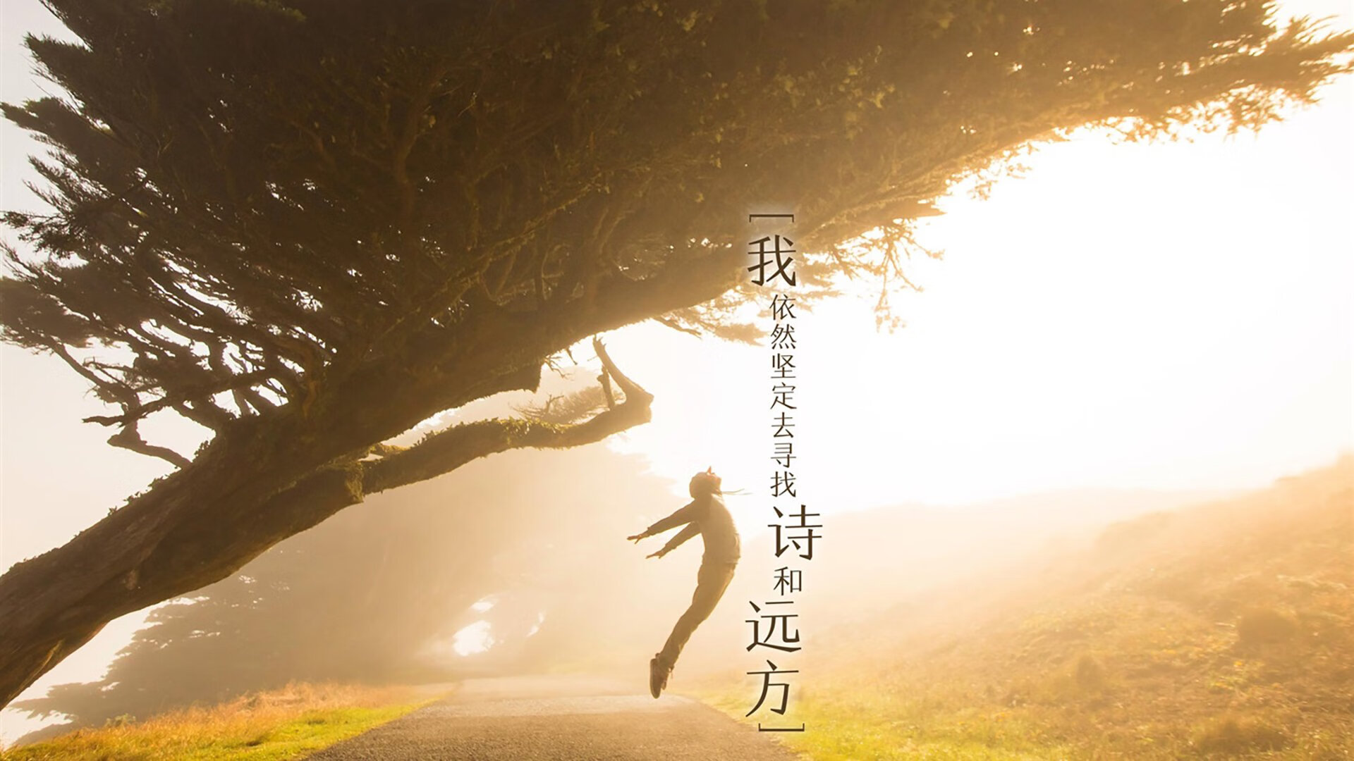 美洲队主帅谈球员转会策略，目标明确，美洲队球衣