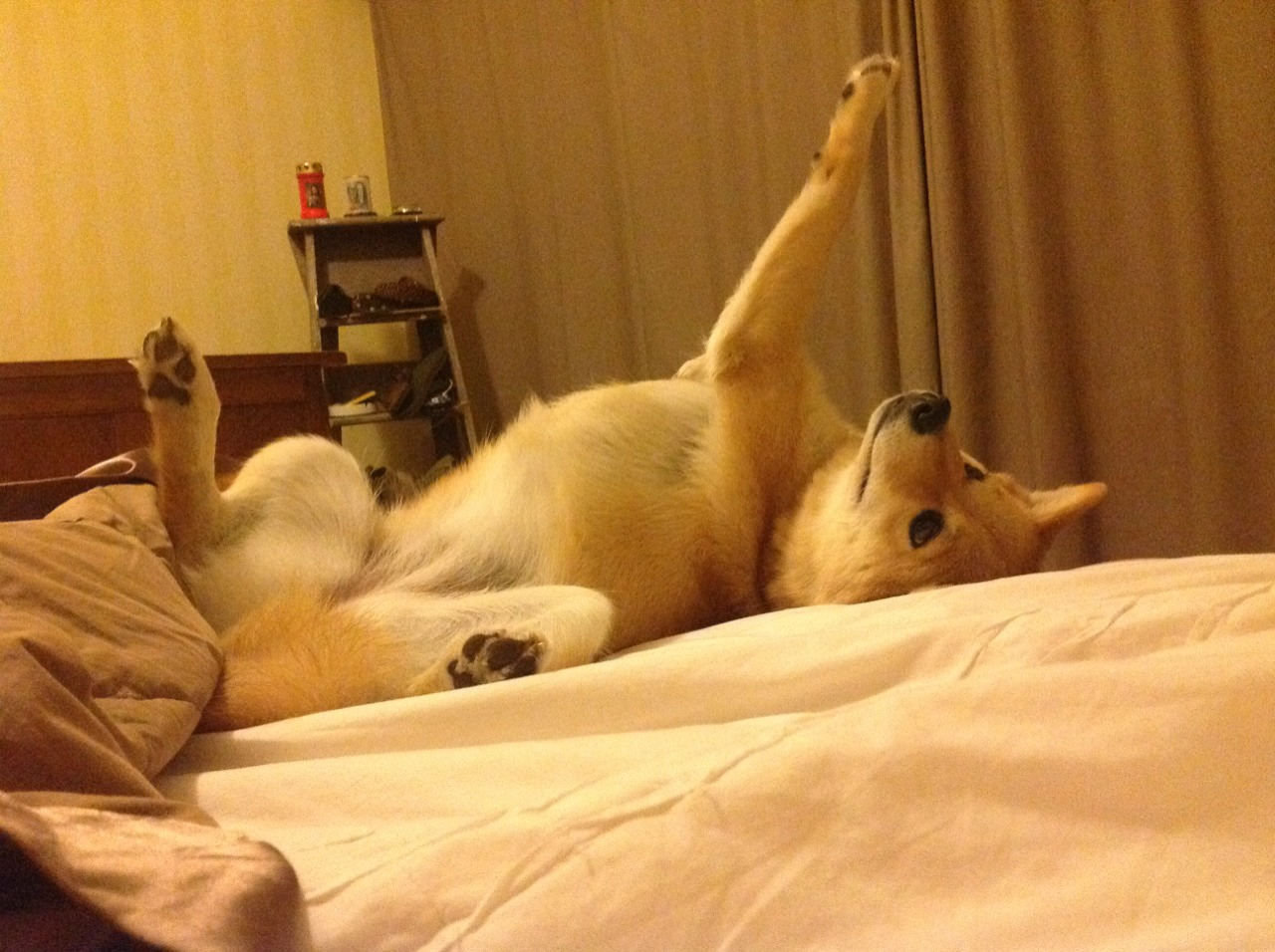 五大联赛门将传控参与度逐年上升是否有效,门将接回传违例