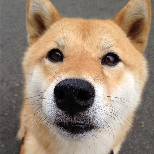 德赢体育注册入口-世界杯惊喜不断：激动人心的精彩片段！，世界杯精彩瞬间视频